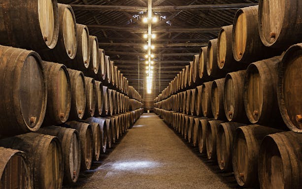 Wine barrels in a cellar during a guided tasting tour from Barcelona.