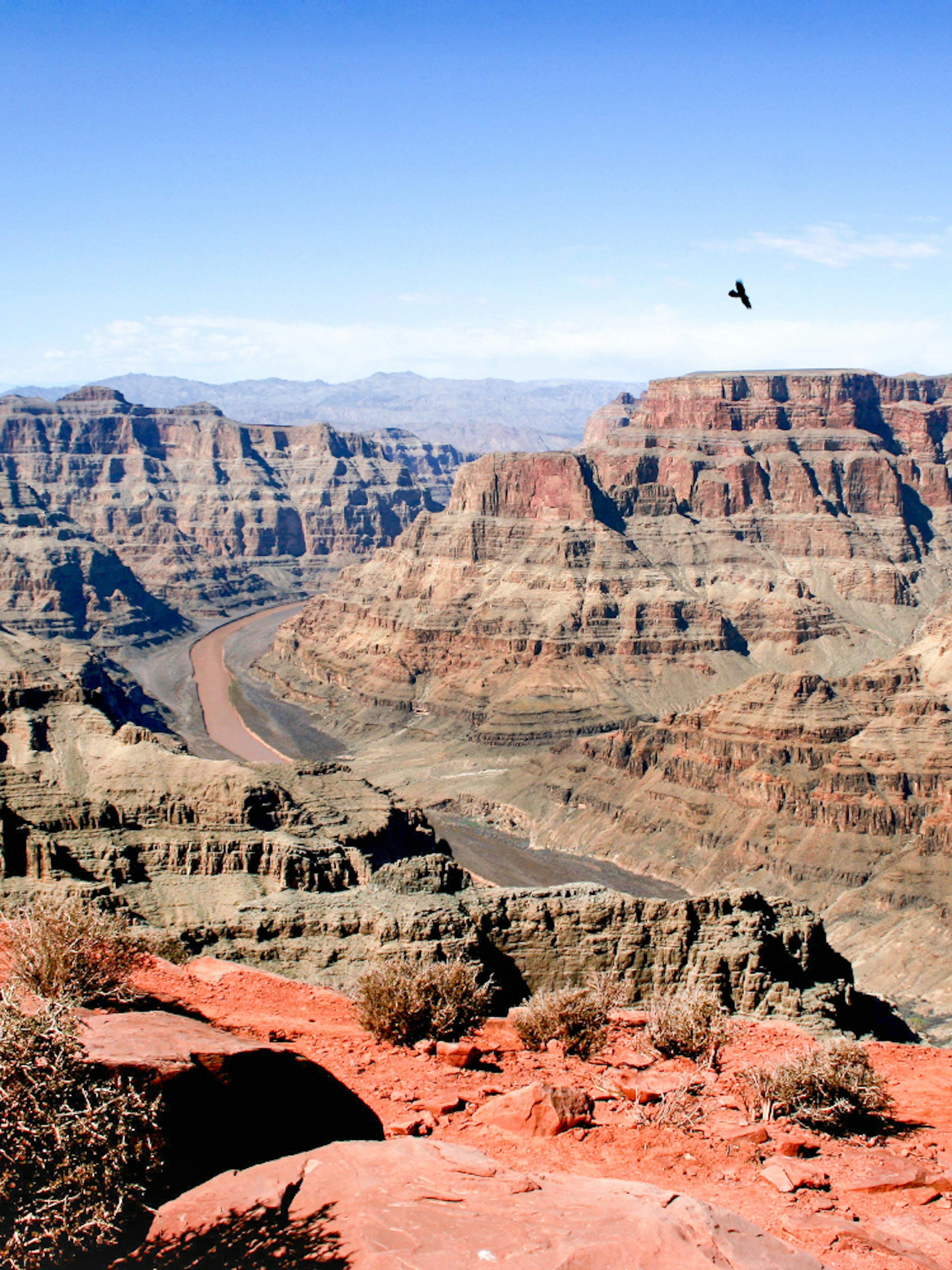 Grand Canyon West Rim with Colorado River view on a sunny day, Arizona, USA.