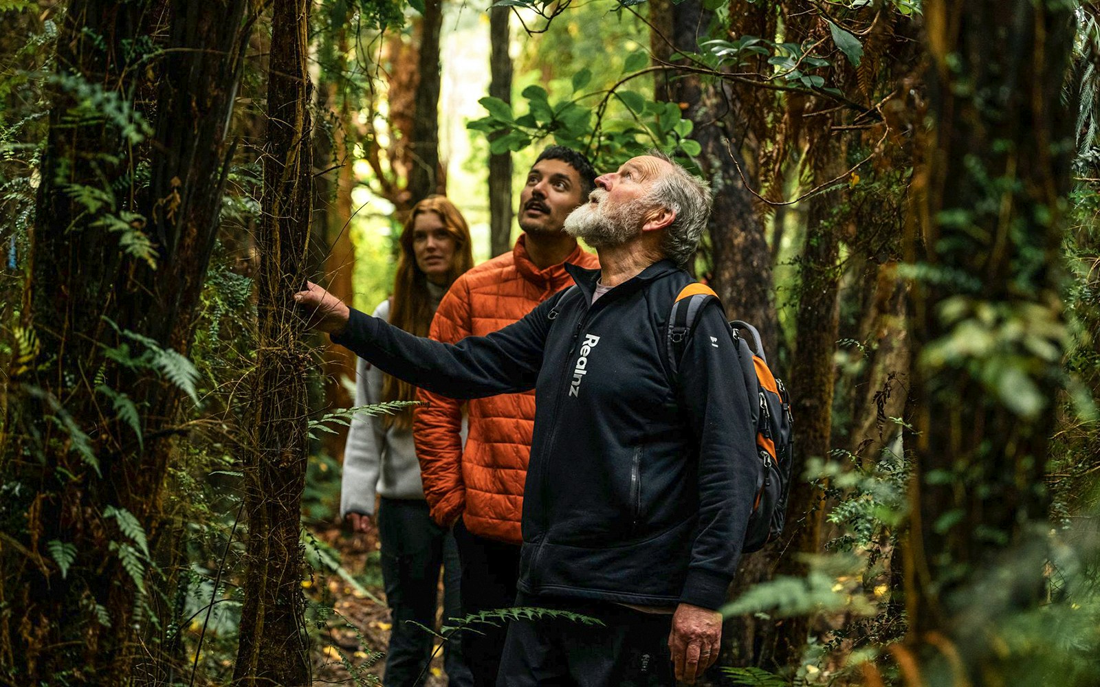Group exploring forest on Stewart Island guided wilderness walk.