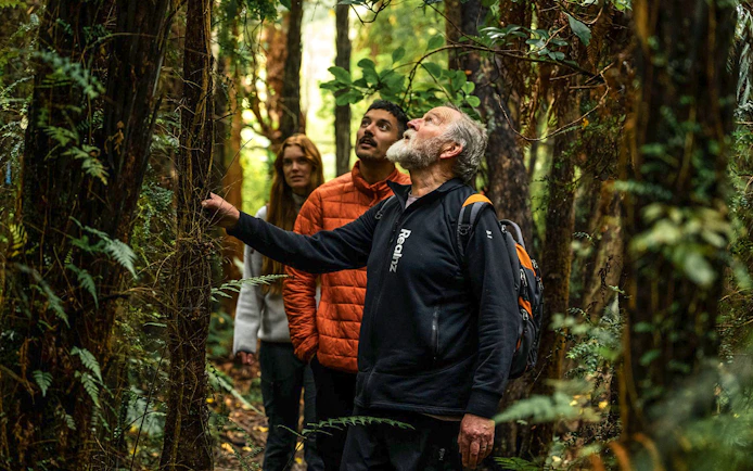 Group exploring forest on Stewart Island guided wilderness walk.