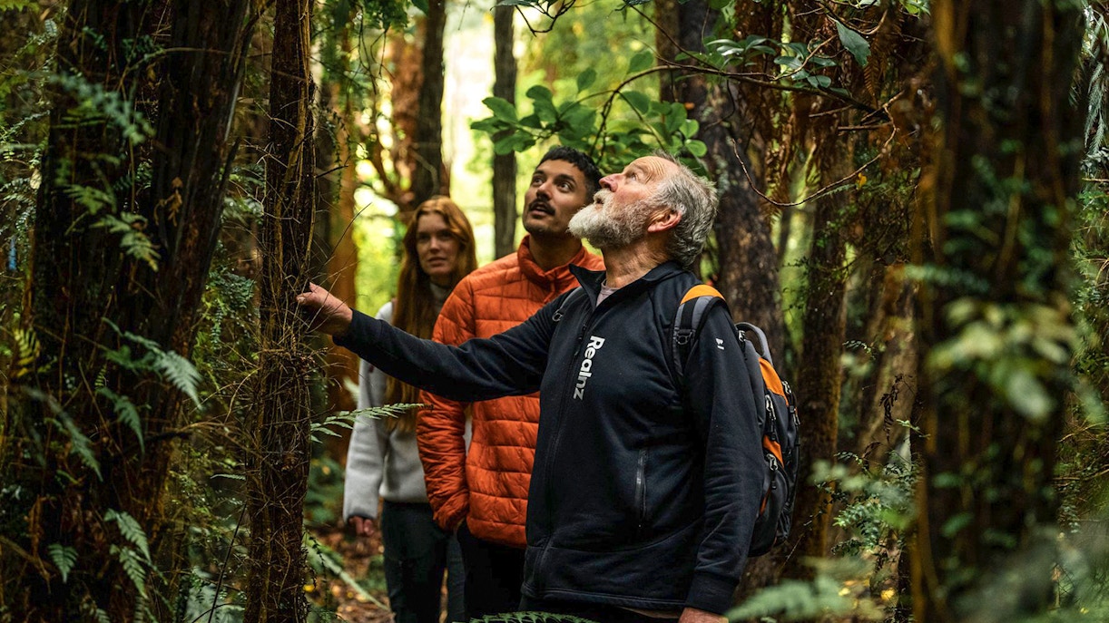 Group exploring forest on Stewart Island guided wilderness walk.