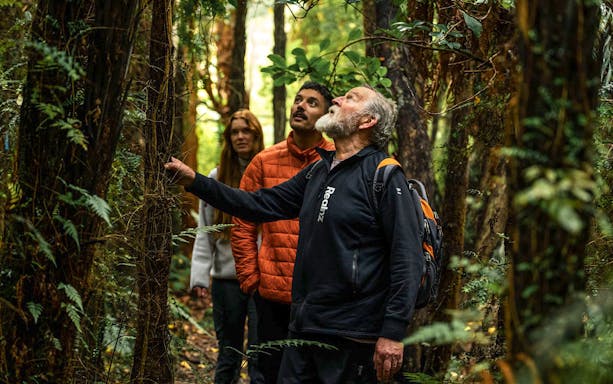 Group exploring forest on Stewart Island guided wilderness walk.