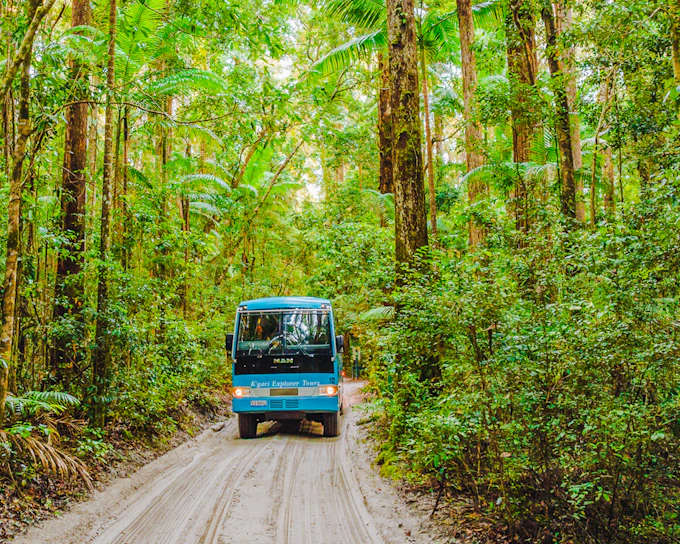 From Hervey Bay: K'gari (Fraser Island) 2-Day Guided Coach Tour