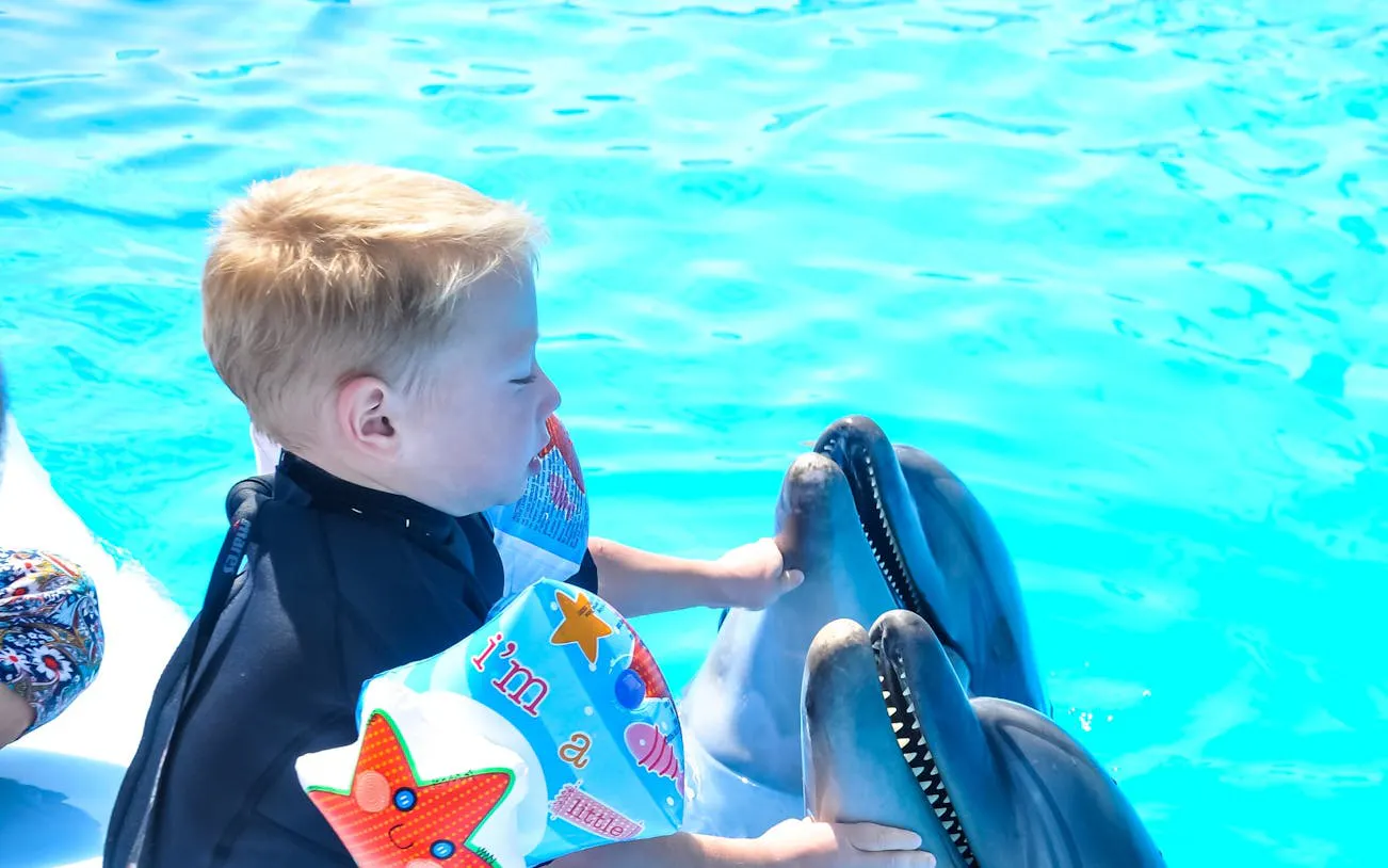 hurghada 5-minute dolphin swim with hotel transfers-1