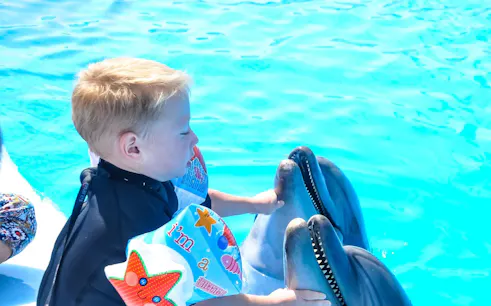 hurghada 5-minute dolphin swim with hotel transfers-1