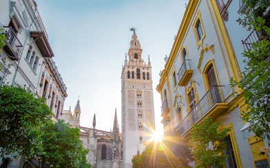Seville Cathedral and Giralda tower with sunlight, viewed from a nearby street.