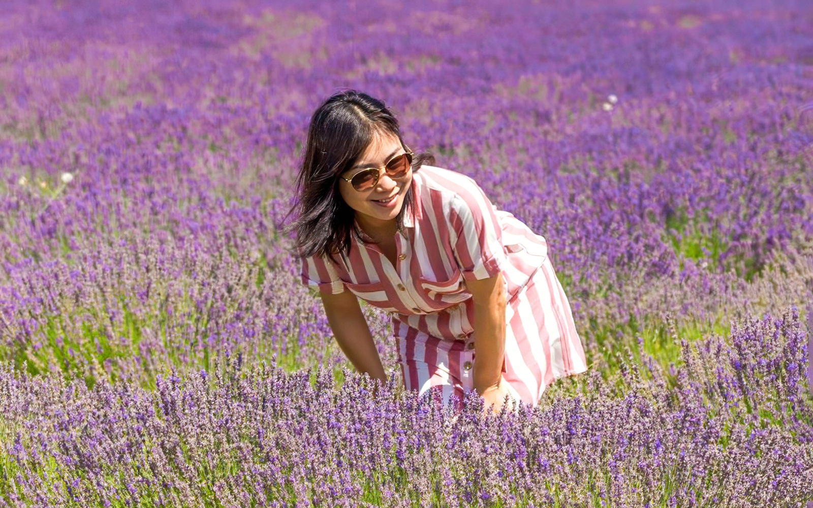 Person enjoying a lavender field during a full day tour.