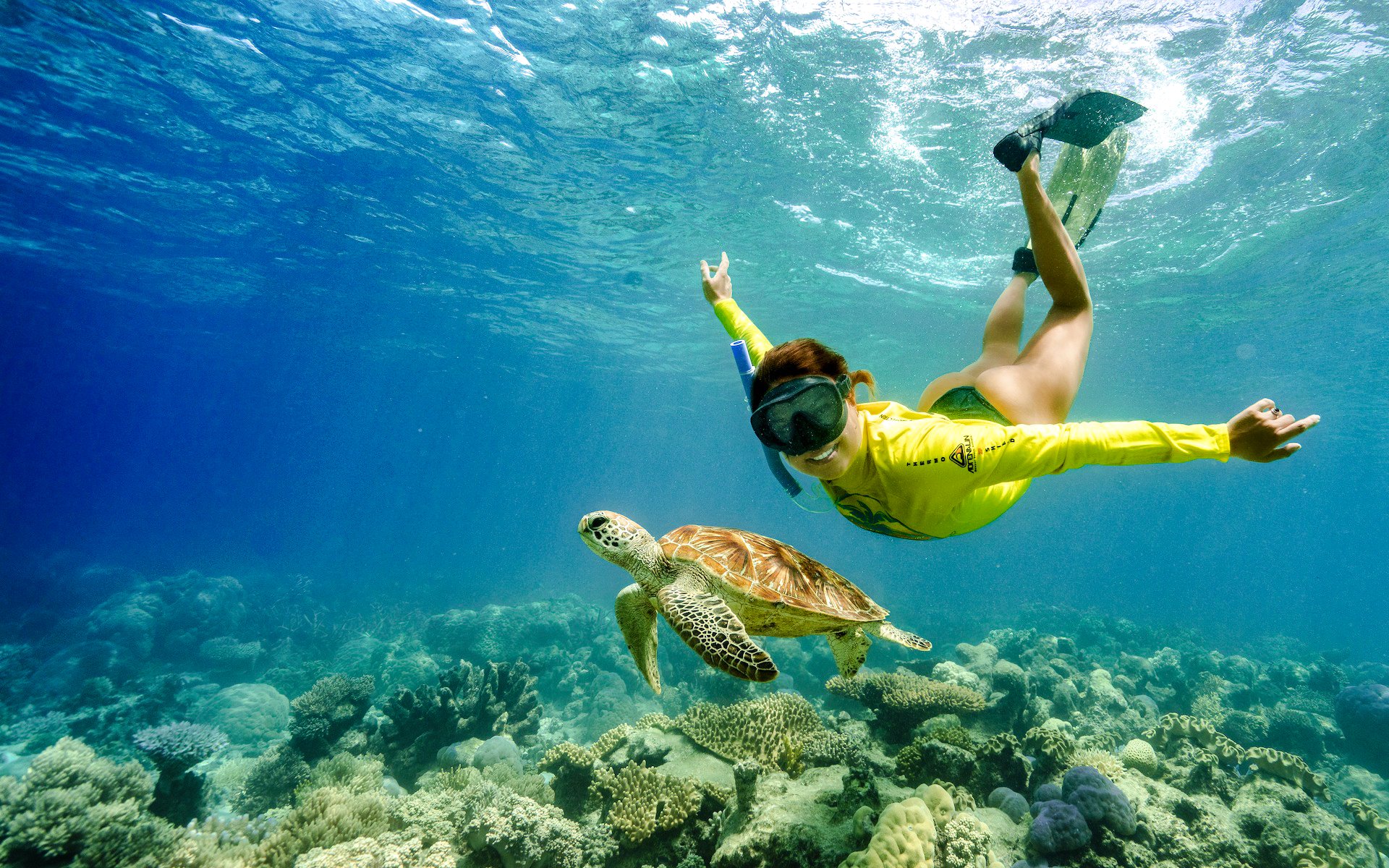 Snorkeler swimming with sea turtle over coral reef, Great Barrier Reef tour.