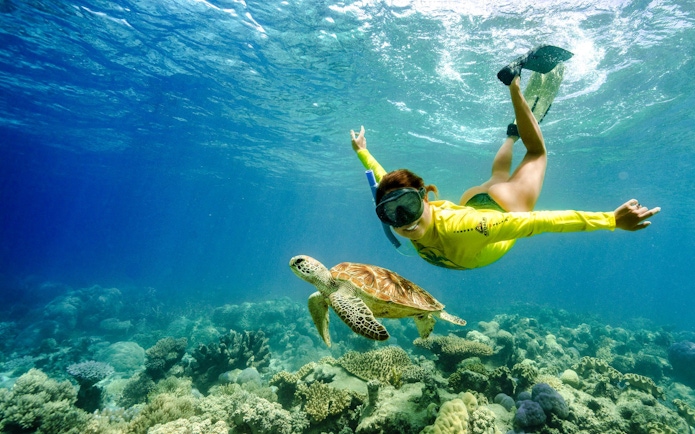 Snorkeler swimming with sea turtle over coral reef, Great Barrier Reef tour.
