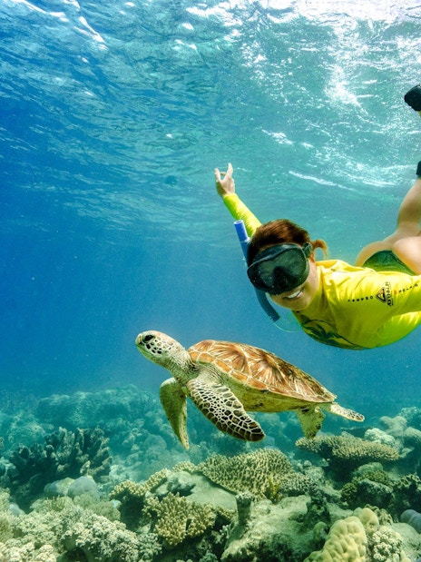 Snorkeler swimming with sea turtle over coral reef, Great Barrier Reef tour.