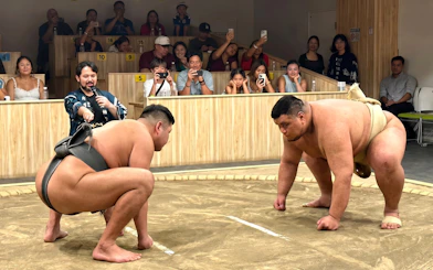 Sumo wrestlers face off in a Kyoto arena during a live show, with an audience watching.