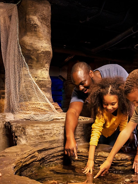Visitors exploring touch pool at SEA LIFE London with guide.