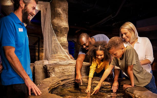 Visitors exploring touch pool at SEA LIFE London with guide.