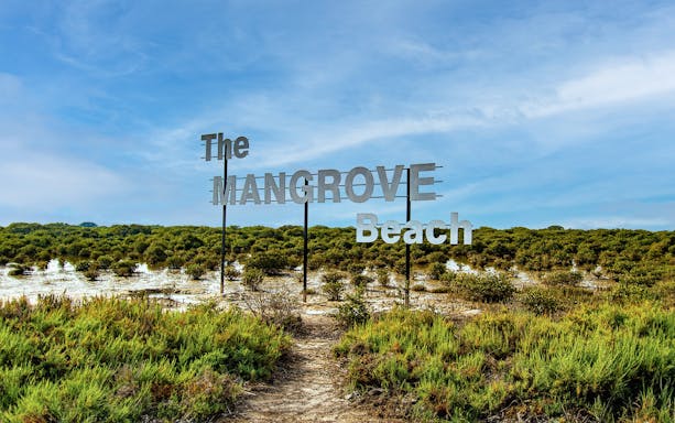 Mangrove Beach sign with surrounding greenery, ideal for crab hunting tours.