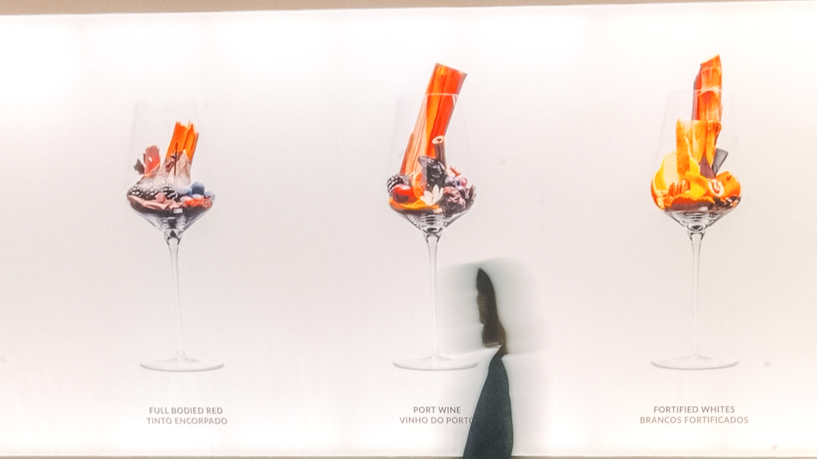 Wine glasses displaying full-bodied red, port, and fortified whites at The Wine Experience.