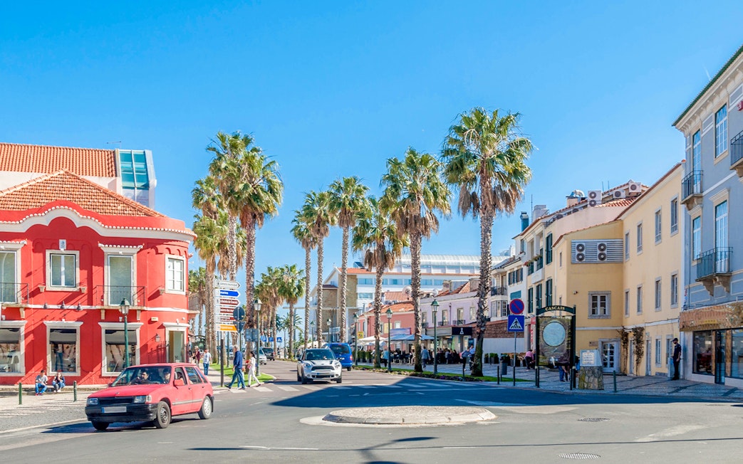 Street view with palm trees and colorful buildings in Cascais, Portugal.