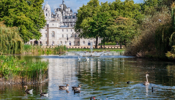 St James Park pond with ducks and swans, historic building in the background, London.