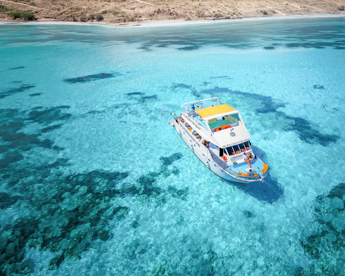 From Paphos: Blue Lagoon Cruise with Bus Transfer