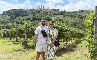 Vineyard in Tuscany with view of San Gimignano towers in the background.