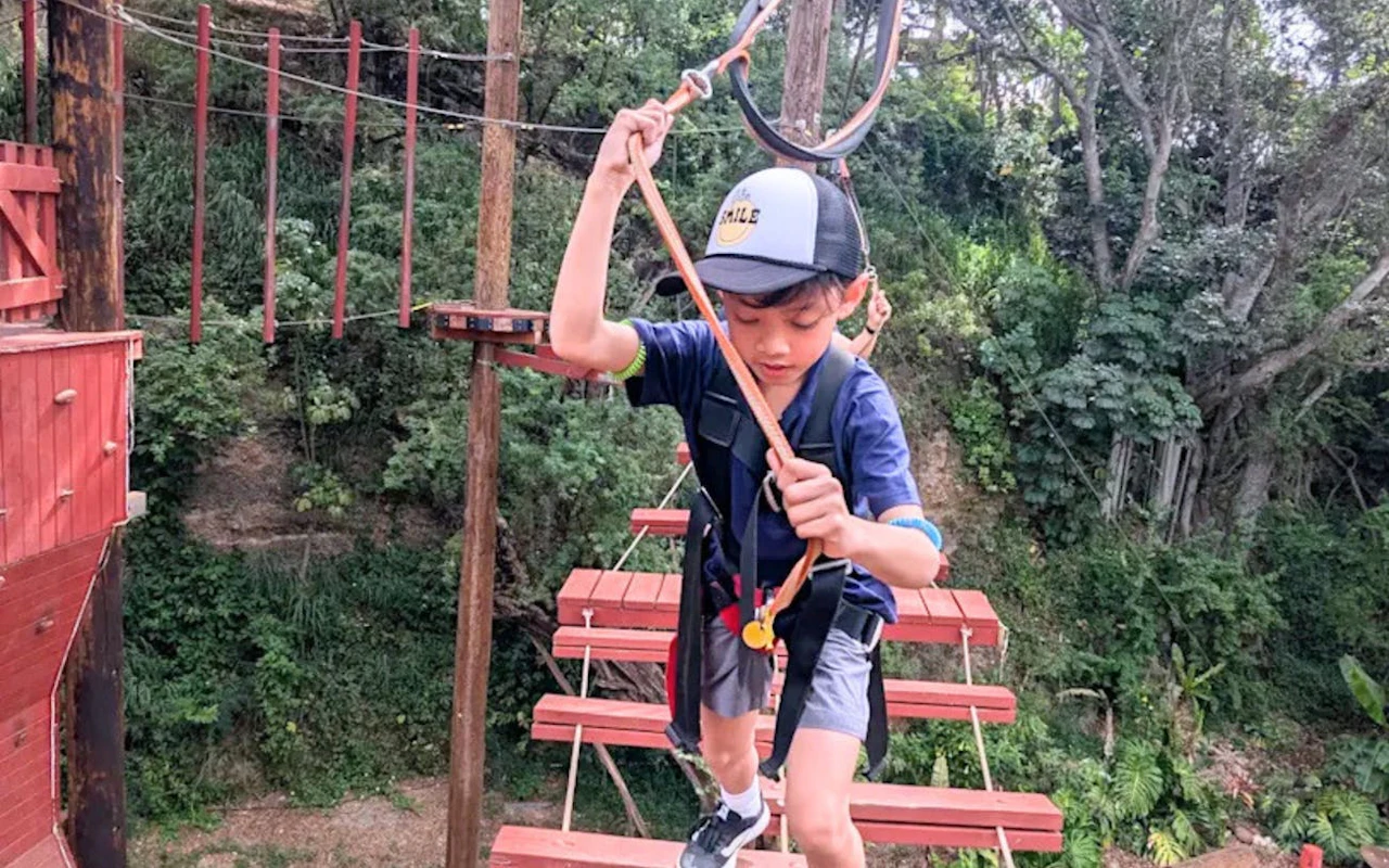 Adventure Course Access with 18 High-Elevation Elements and Safety Gear Provided