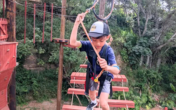 Adventure Course Access with 18 High-Elevation Elements and Safety Gear Provided