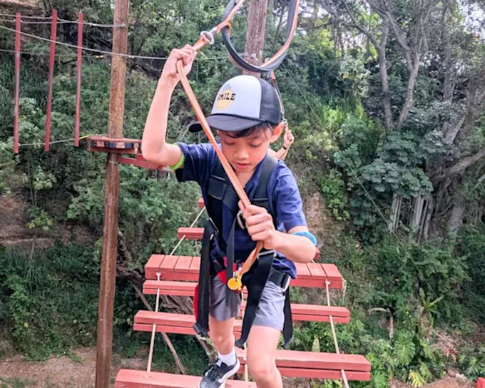 Adventure Course Access with 18 High-Elevation Elements and Safety Gear Provided (Product 49358)