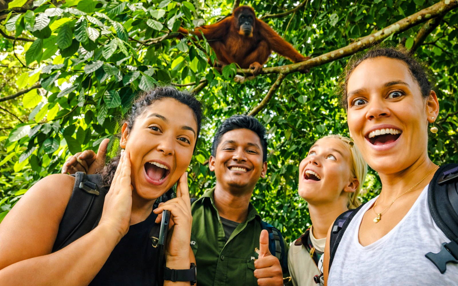 From Medan: Sumatran Orangutan Jungle Trek in Gunung Leuser National Park Image 2