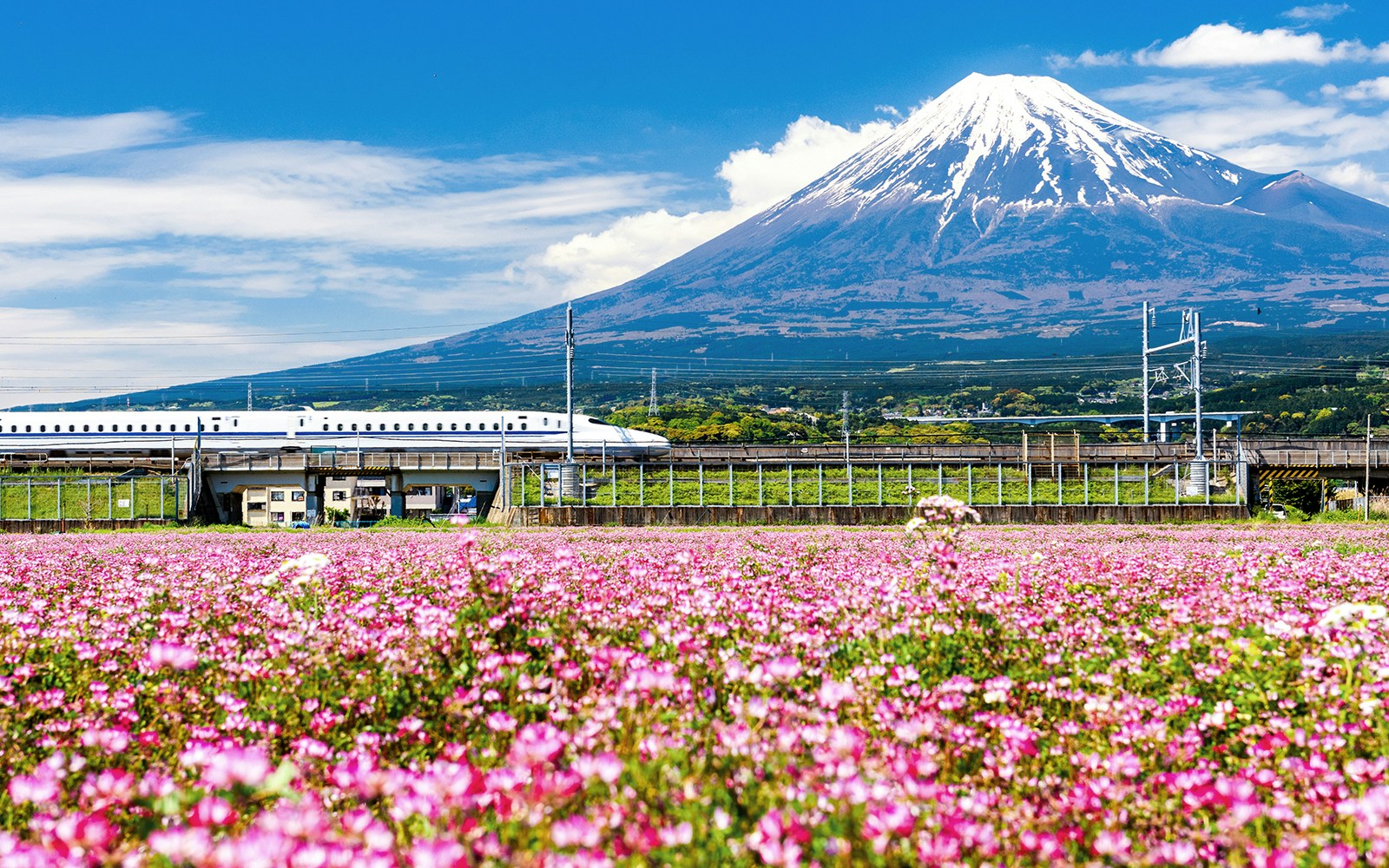 Bullet train passing with Mount Fuji in the background, Japan.