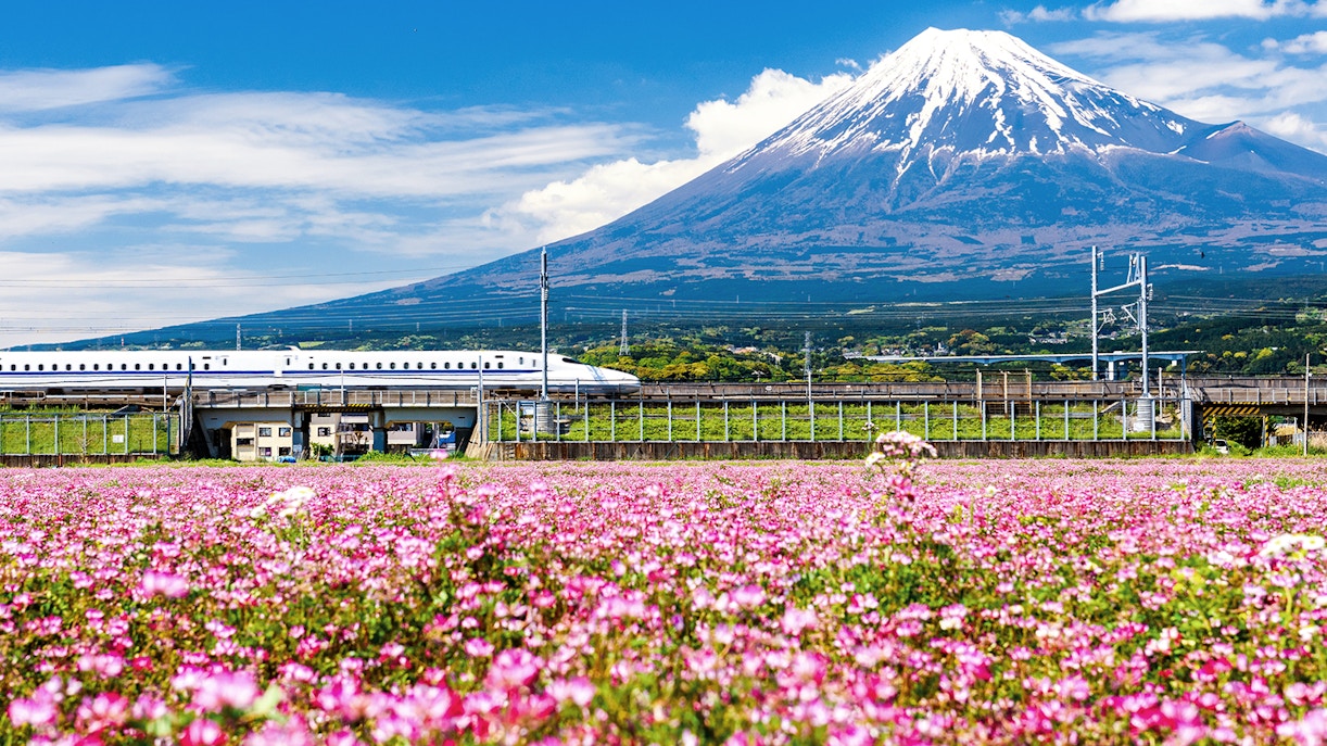 Best Time to Visit Fuji Five Lakes