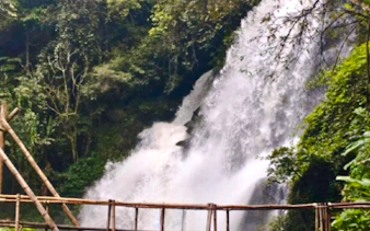 fra chiang mai: privat guidet tur i doi inthanon nasjonalpark med fottur på pha dok siew-naturstien-2