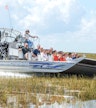 Tour en hidrodeslizador por los Everglades