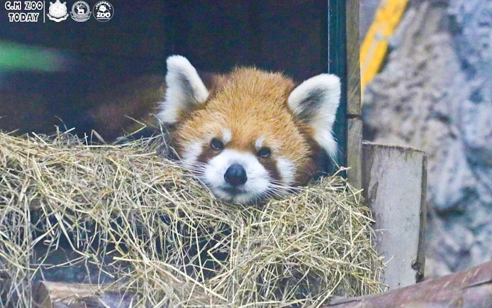 Chiang Mai Zoo & Aquarium Tickets