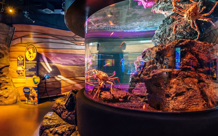 Aquarium display with crabs and rocks at SEA LIFE Bangkok.