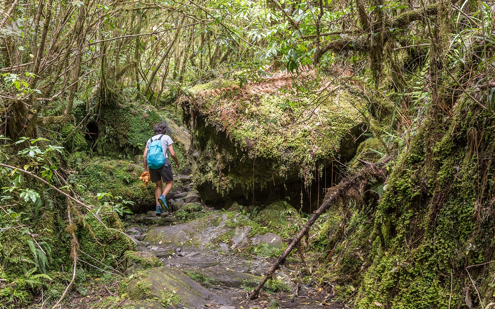 Nature trails