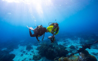 Scuba divers exploring coral reefs in Sharm El Sheikh.