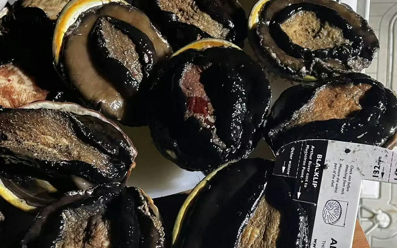 Blacklip abalone shells displayed on a Hobart gourmet cruise.