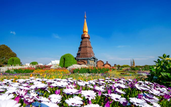from chiang mai: doi inthanon national park tour-2