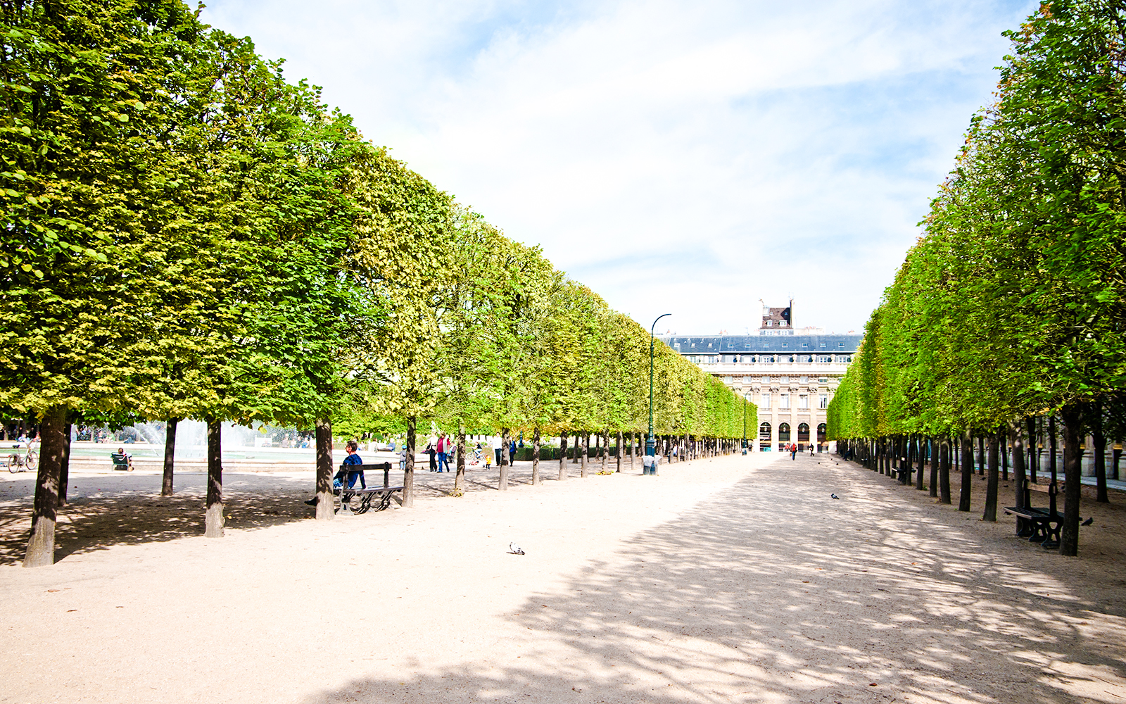 Tree-lined path in Palais Royal Gardens, Paris, with people walking and a historic building in the background.