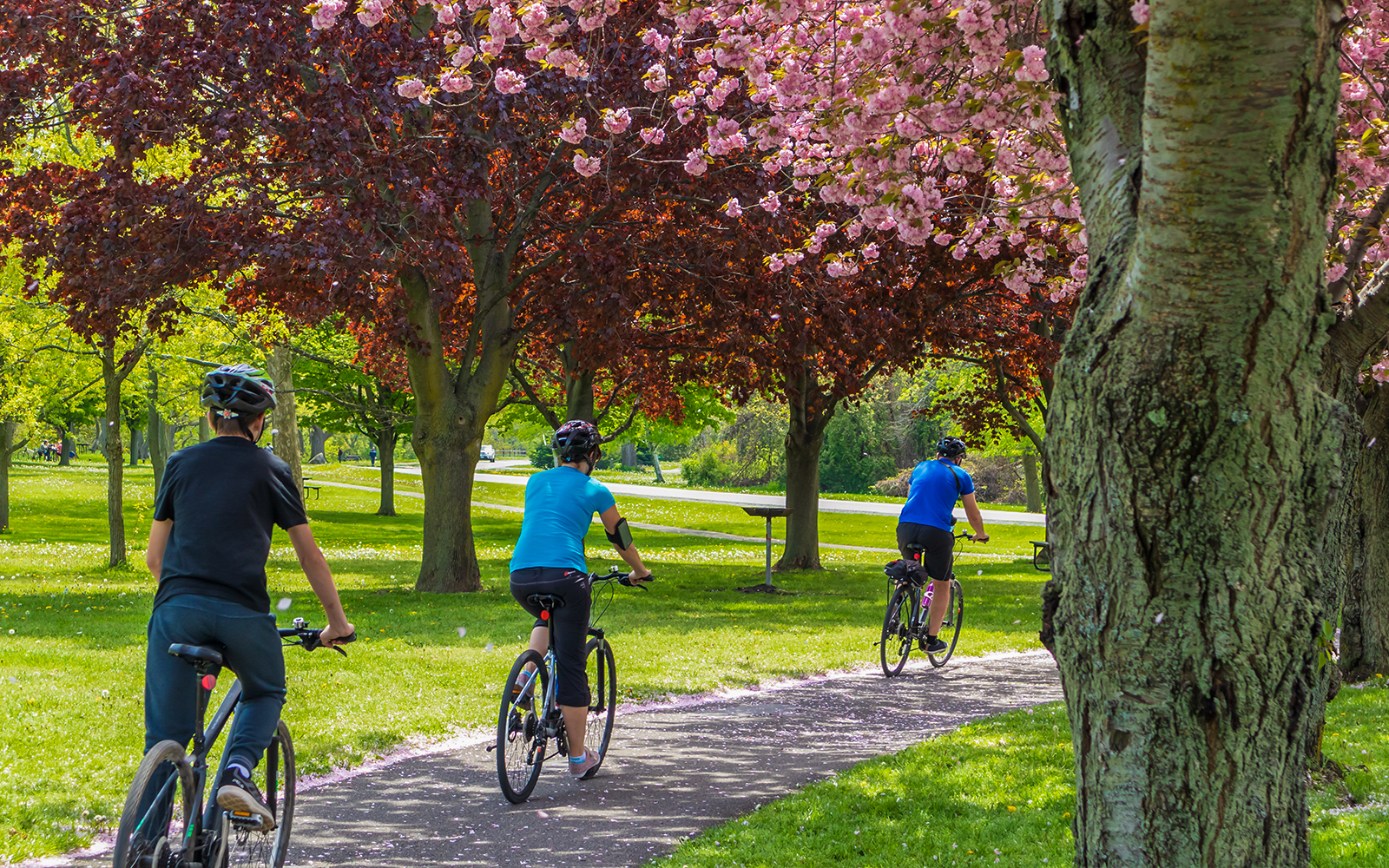 Bike Ride along the Niagara River Recreation Trail