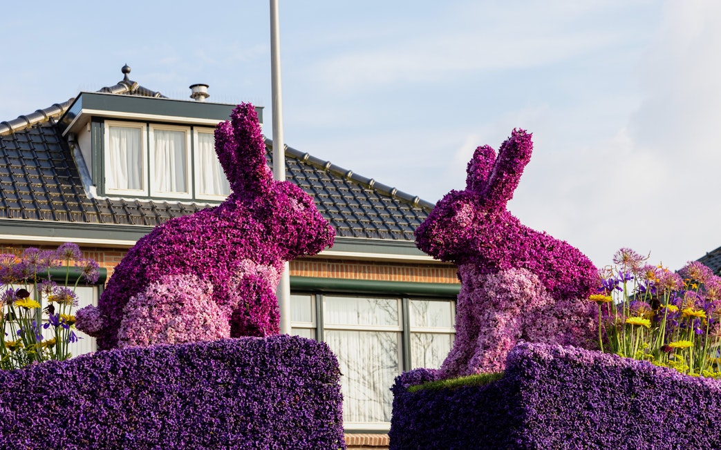 Hyacinth rabbit sculptures in front of a house in the Netherlands.
