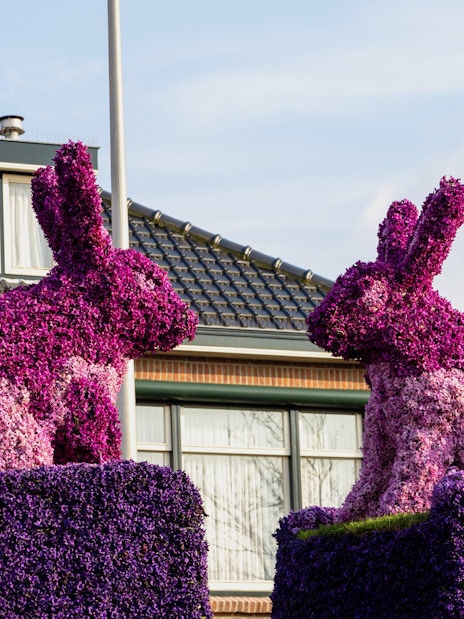 Hyacinth rabbit sculptures in front of a house in the Netherlands.