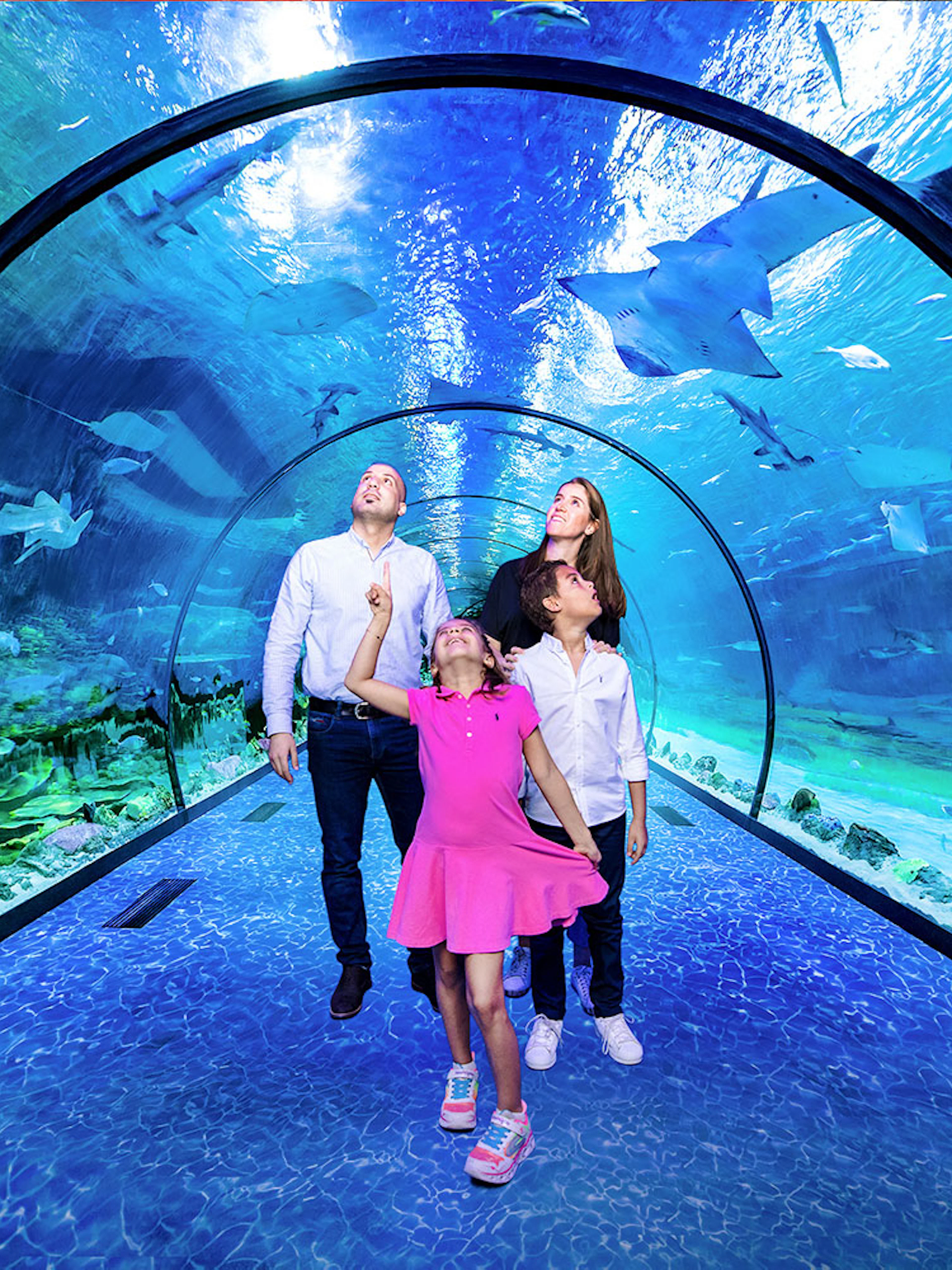 Family exploring underwater tunnel at National Aquarium, Dubai with marine life above.