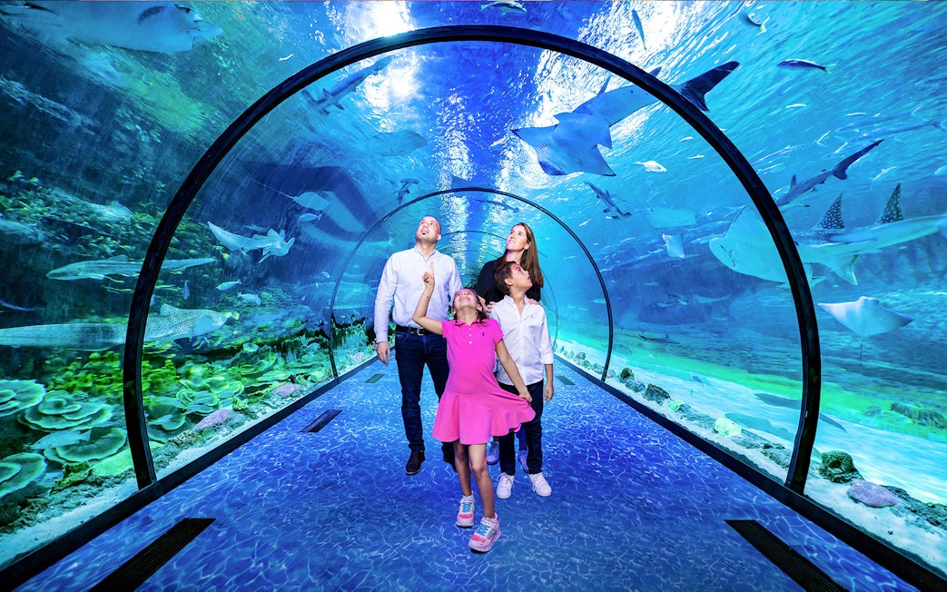 Family exploring underwater tunnel at National Aquarium, Dubai with marine life above.