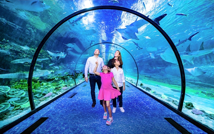 Family exploring underwater tunnel at National Aquarium, Dubai with marine life above.