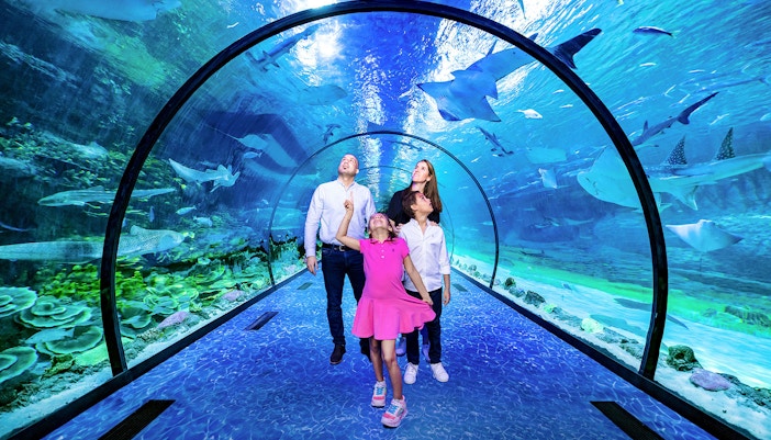 dubai aquarium