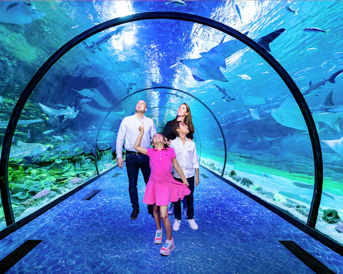 From Abu Dhabi: Half-Day Guided Tour of Abu Dhabi with Choice of Attraction Tickets (Product 18406)
