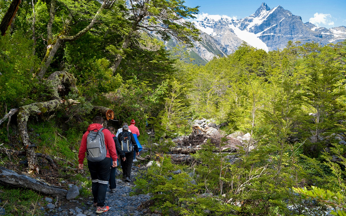 Tourists trekking with guide through forest in Los Glaciares National Park, Patagonia.