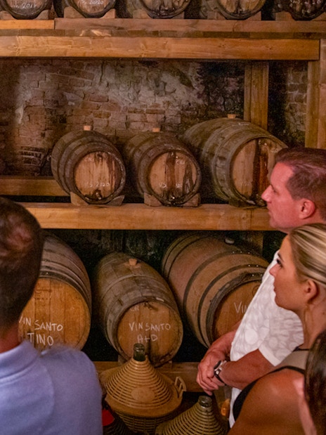Tour group in a Tuscan wine cellar with guide explaining barrels in Siena, San Gimignano, Chianti, Pisa.