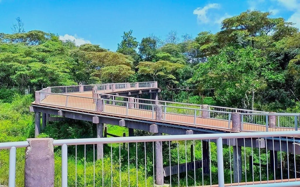 Elevated walkway through lush greenery at Nairobi Safari Walk.