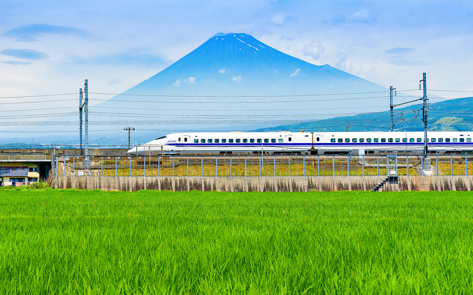 Bullet train passing by rice fields with Mount Fuji in the background, Fuji City, Shizuoka, Japan.